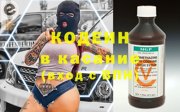 прущие грибы Кодинск