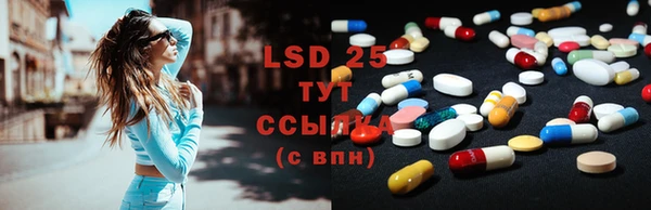 PSILOCYBIN Корсаков