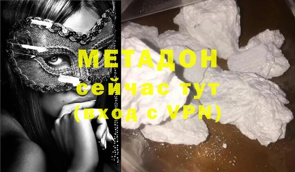 прущие грибы Кодинск