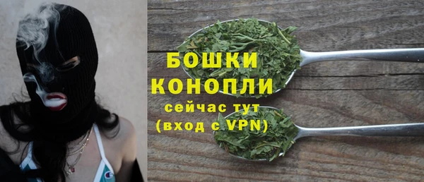 PSILOCYBIN Корсаков